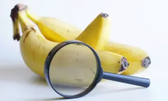 ЕП подкрепя опростена процедура за получени чрез НГТ нови