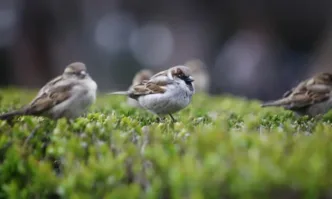 Топло време в събота, дъжд на места в Южна България