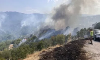 Мащабен пожар избухна в района на град Симитли като пламъците