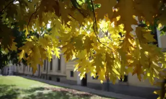 Днес в Централна и Източна България ще бъде предимно слънчево