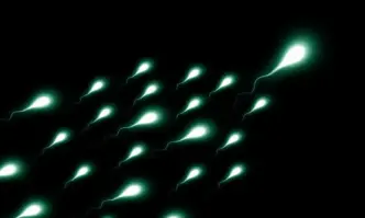 Криоконсервация на сперматозоиди – защо и кога е необходимо?