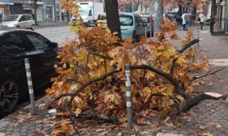 От Фейсбук профила на Стоян Панчев председател на Българско либертарианско