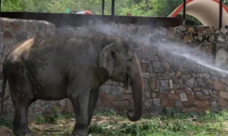 Пътнически влак се блъсна в стадо слонове в североизточната част
