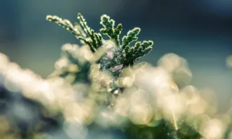 Дъждовете спират, но идват студено време и слани