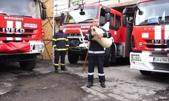 Пожарникари с гайда честитиха Деня на храбростта (ВИДЕО)