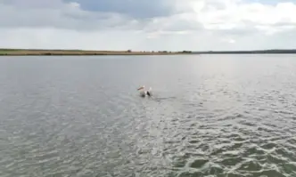 По разпореждане на министъра на икономиката и индустрията Богдан Богданов