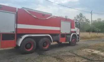 Близо 300 декара общинска широколистна гора е изгоряла при пожара