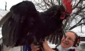 Българската православна църква чества на 2 февруари Сретение Господне един от