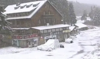 Тихо се сипе първият сняг: Снежна покривка на Витоша и на прохода Петрохан - (СНИМКИ/ВИДЕО/ОБНОВЯВА СЕ)