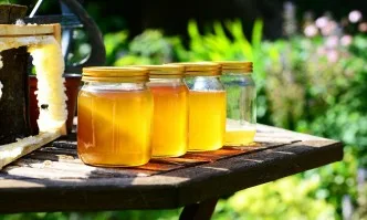 БАБХ насочи за унищожаване над 44 кг. мед заради нарушения