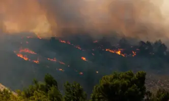 Български пожарникари заминават за КорфуПовече от 40 души загинаха в