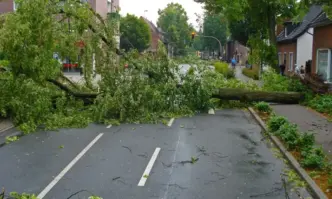 Бедствено положение в община Варна заради ураганния вятър. В Добрич обстановката се усложнява - (СНИМКИ/ВИДЕО)