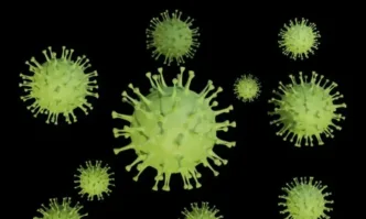 Учени съживиха древни вируси