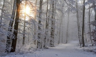 Минималните температури ще бъдат предимно между минус 1 и 4