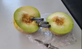 Засилени проверки в затворите, предотвратени са множество опити за внасяне на забранени вещи и вещества