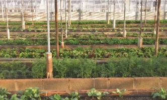 10 000 е надценката на водата от МОСВ през Напоителни