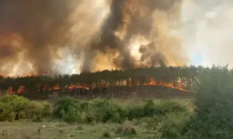 Голям горски пожар бушува в землището на село Медникарово община