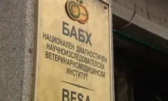 Министерският съвет прие Закон за изменение и допълнение на Закона