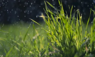 Пролетни дъждове до ГергьовденДнес сутринта ще бъде предимно слънчево но