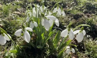 В почивните дни ще е ветровито но с температури доста