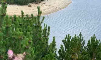 Състоянието на пет язовира в региона е рисково съобщи за