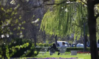 Първопричината е липсата на реална поддръжка на тревните площи в