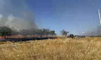 Потушиха пожара край Българово