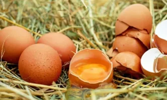 България четвърта в ЕС по скъпи яйца