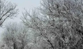 Предстоящите почивни дни ще са с променлива облачност В събота