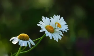 В неделя времето ще продължи да се затопля но сутринта