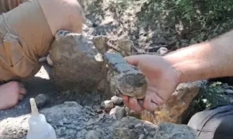 Уникална находка: Откриха цяла кост на динозавър край Трън