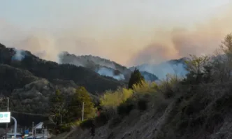 Горски пожари в Япония: евакуирани над 3000 души