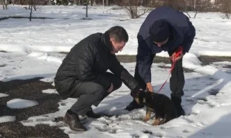 МВР-министърът се запозна с условията за обучение на служебни кучета в Берковица