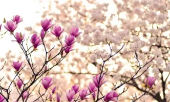 През деня ще преобладава слънчево време с по значителни увеличения на