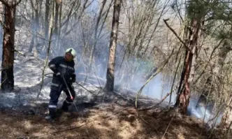 Голям пожар край Девня, няма опасност за населението (ВИДЕО)