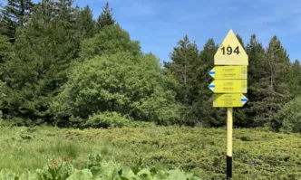 Инициатива Спортувай и почисти – Витоша ти благодари! събира столичани този уикенд