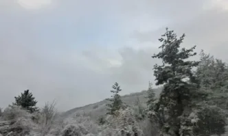 БНТ публикува сигнала който бабата и дядото на на 8