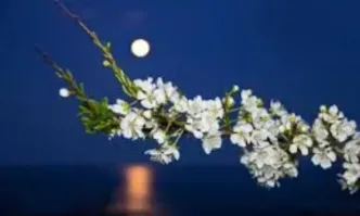 Пълна Цветна луна изгрява в небето на 1 май