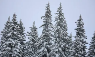 От предстоящите почивни дни в края на седмицата събота