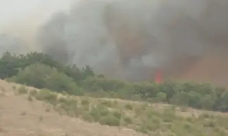 Няколко големи пожара избухнаха в събота в хасковска област Огънят