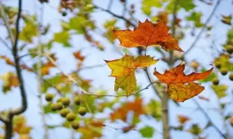 Последният ден тази седмица ще е слънчев топъл и приветлив