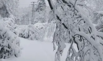 Отново: Десетки населени места са без ток заради снега