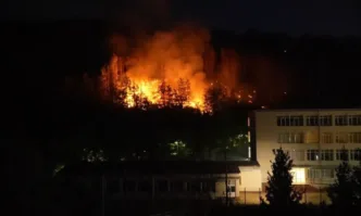 Пожарът от тази нощ в боровата гора между кварталите Бузлуджа