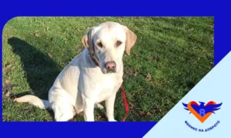 Инициативата Феникс на доброто и 8888 bg стартират дългосрочно партньорство