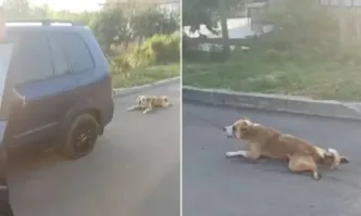 Жестокост: Мъж върза кучето си с въже за колата, било мръсно