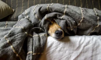 Днес валежите ще спрат най късно в източните райони В Западна