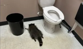 Комичната ситуация е от САЩЗаподозряният в кражба от магазин за