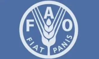 Boйнaтa в Иpaн вeчe ce oтpaзявa нa цeнитe нa xpaнитe в cвeтoвeн мaщaб