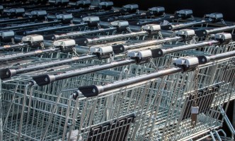 Краставиците достигнаха рекордни цени Между 6 лв и 7 50 струва