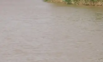 Водолазни екипи подновяват издирването на двете деца от селата Везенково